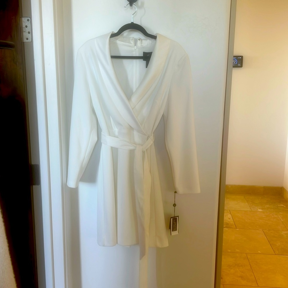 Never worn before beautiful Adrianna Papell Dress